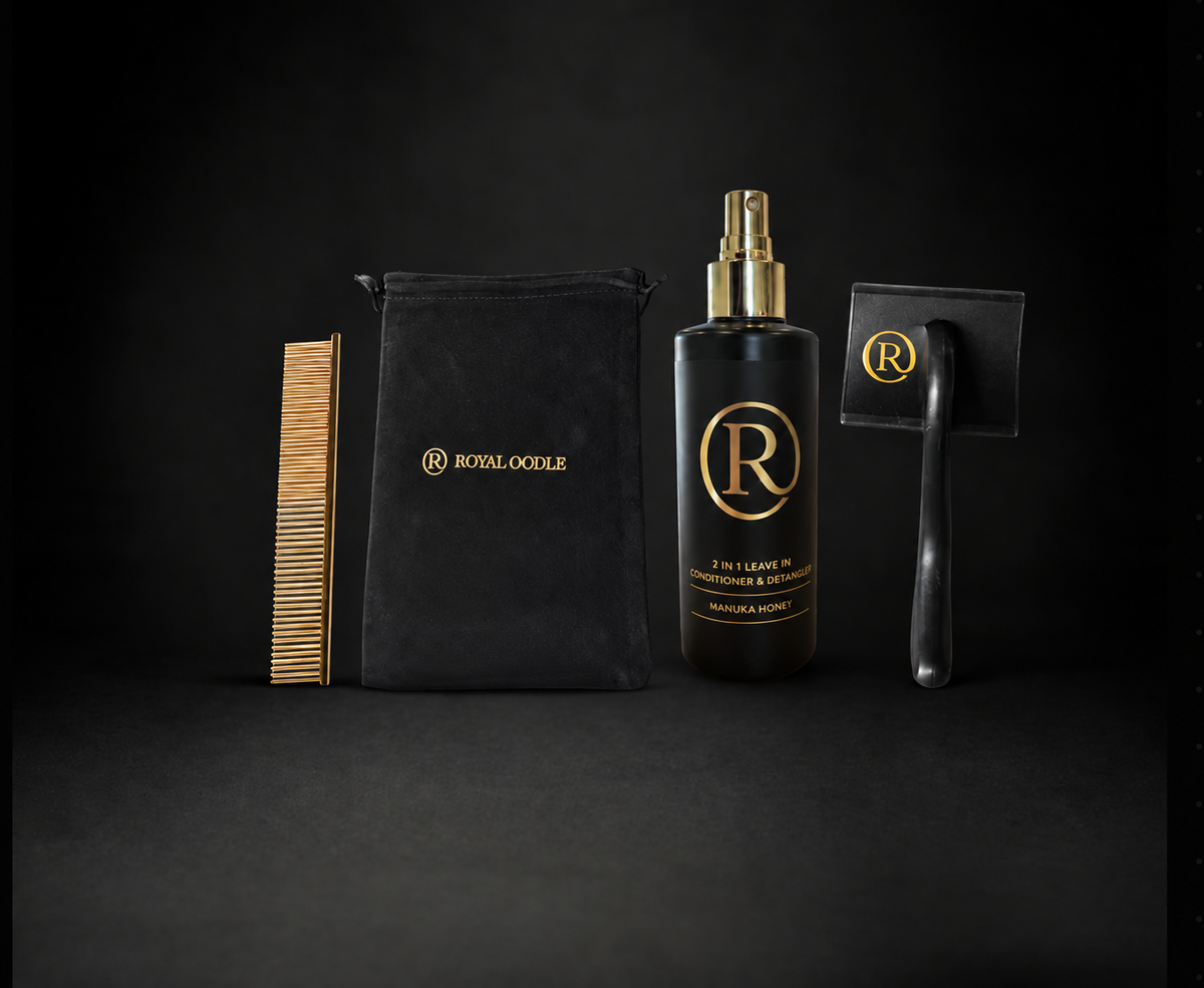 Everyday Maintenance Bundle - Manuka Honey 2 in 1 Leave in Conditioner & Detangler