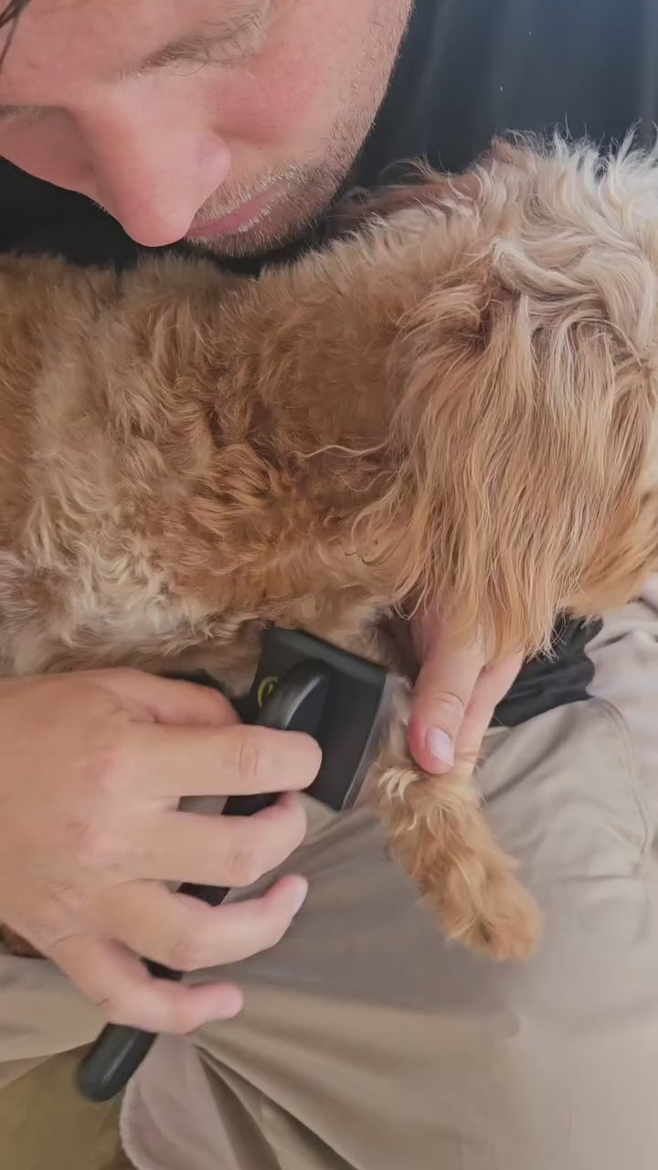 Royal Oodle Mini Slicker Brush